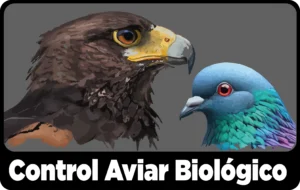 Logo Control Aviar